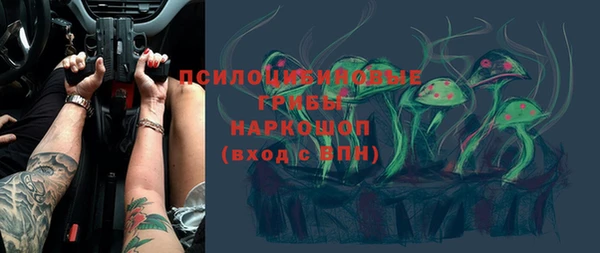 гидропоника Балахна