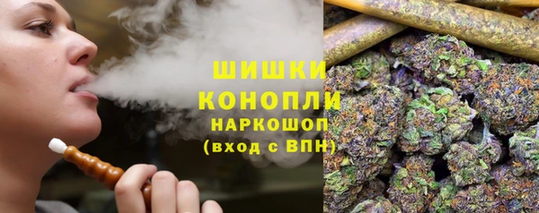 прущие крисы Арсеньев